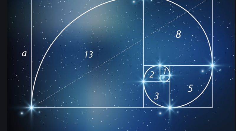 Il 23 novembre è il Fibonacci day,  matematico della natura che 850 anni fa portò i numeri arabi tra noi e inventò lo zero.